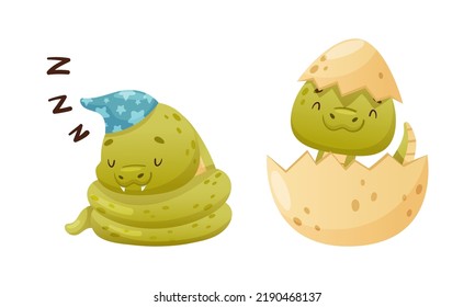 Cute Green Baby Snake As Crawling Creature Hatching From Egg Shell And Sleeping Coiled In Night Cap Vector Set