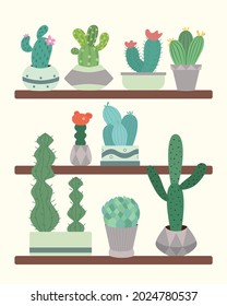 Cute green cacti with thorns in flowerpots are on a shelf in a greenhouse.  Plants and nature, house plants.  Postcards, templates, invitations.