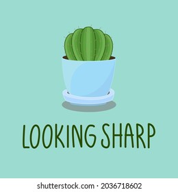 Cute green cactus in blue pot with quote "looking sharp" on pastel green blue background. Succulent in round pot for plant themed puns.