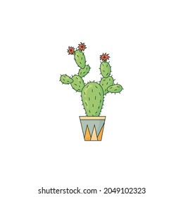 Cute green cactus in plant pot, vector illustration isolated on white. Web or print icon