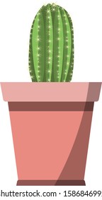 Cute green cactus plant vector icon in fachion flower pot isolated on white background
