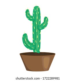 Cute green cactus pot icon. Cartoon of cute green cactus pot vector icon for web design isolated on white background