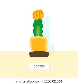 Cute green cactus standing on a table top, front view with a space for a text. Home plant in pots. Flower icon in a flat style isolated on a white background. Cartoon decorative houseplant in vector