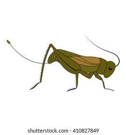 Cute green cartoon grasshopper. Beautiful vector illustration.