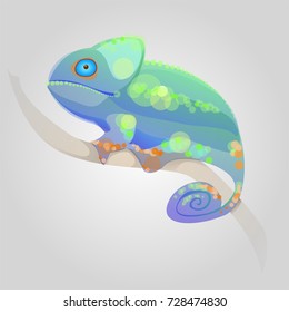 cute green chameleon