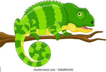 Cute green chameleon on branch cartoon