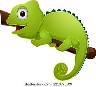 Cute green chameleon on tree branch