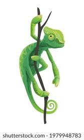 Cute green chameleon sitting on tree branch. Exotic lizard pet, tropical forest reptile or zoo Africa or Madagascar jungles animal. Chameleon lizard with green scales and spiral tale climbing on tree