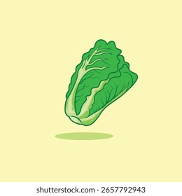 Lindo Vector aislado de repollo chino verde, perfecto para la campaña educativa, campaña saludable, ilustración escolar.