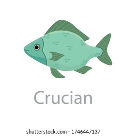 Cute green fish crucian carp vector flat illustration. Marine animal swimming isolated on white background. Colorful cartoon clipart for design.