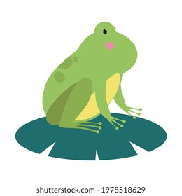 Cute Green Frog Amphibian Animal Cartoon Vector Illustration