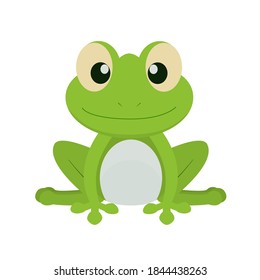Cute green frog on white background