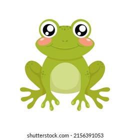 cute green frog on a white background