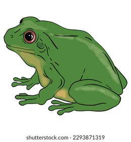 Cute Green frog, bueno para recursos de diseño gráfico, afiches, banners, plantillas, impresiones, libros de coloreo y más.