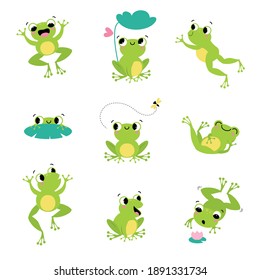 귀여운 녹색 개구리 미소, 점프, 크로킹 벡터 세트