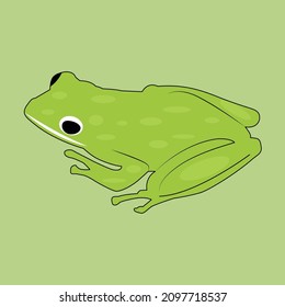 ilustración de arte vectorial de rana verde lindo