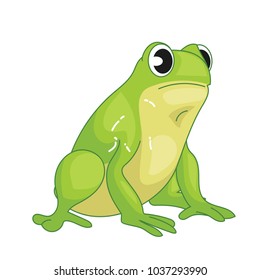 Cute Green Frog Vector Illustration.