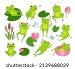 Cute green frogs. Nature and frogs, cartoon toad in pond. Funny animal in lotus, on leaves and eating insects. Neoteric childish froggy vector characters