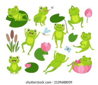 Cute green frogs. Nature and frogs, cartoon toad in pond. Funny animal in lotus, on leaves and eating insects. Neoteric childish froggy vector characters