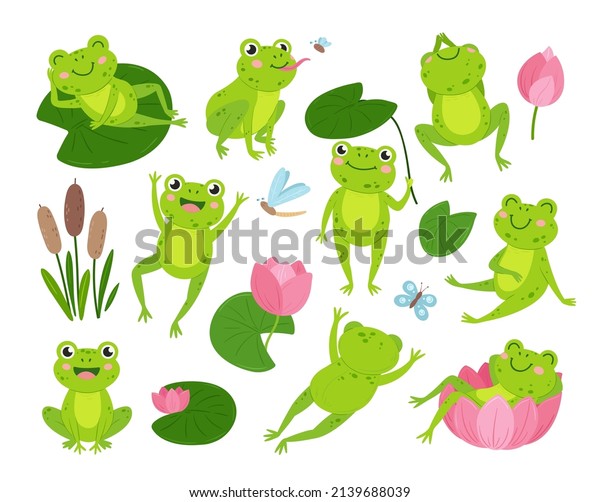 2,048 Frog leaf icon 图片、库存照片和矢量图 | Shutterstock