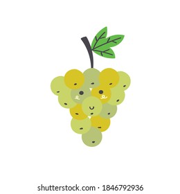 Cute green grapes. Vector isolated in hand drawn fruit