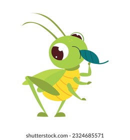 Cute green grasshopper eating leaf. Funny insect in its everyday activities cartoon vector illustration