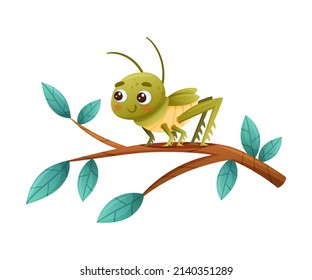 Saltamontes verde lindo sentados en la rama del árbol. Graciosa imagen vectorial de dibujos animados de mascota de insectos para bebés