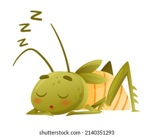 Un saltamontes verde lindo durmiendo. Graciosa imagen vectorial de dibujos animados de mascota de insectos para bebés