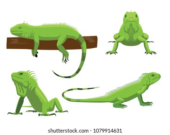 Cute Green Iguana Poses Cartoon Vector Illustration