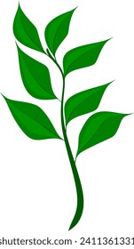 hoja verde lindo sin fondo