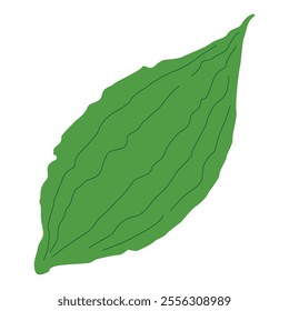 Cute green leaves cartoon vector illustration