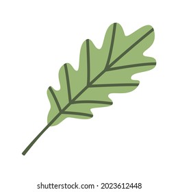 Cute green oak leaf. Autumn flat icon. Clipart of fallen leaves for design of greeting cards, posters, banners, flyers. Harvest day, Thanksgiving, Halloween object. Seasonal element. Autumnal item. 