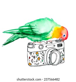 Cute green parrot sits on photo camera, vector