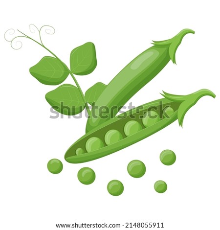 Cute green pea isolated on white background. Vegetarian food. Flat vector illustration.