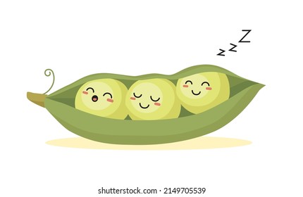 Cute green peas sleep in pod. Vector cartoon illustration of funny food emoticon of happy sleeping sweet beans in peapod. Concept of ripe organic vegetables, farm plants