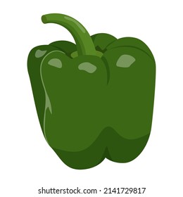 Cute green pepper isolated on white background. Flat vector illustration