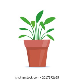 Cute green potted plant in flat style. Vector illustration