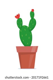 Cute green potted plant in flat style. Cactus. Vector illustration