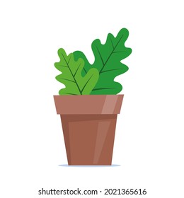 Cute green potted plant in flat style. Vector illustration