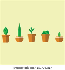 Cute green potted plants different shapes