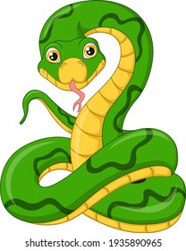 Cute green snake cartoon on white background