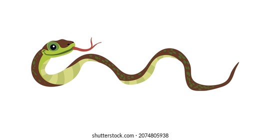 Cute green snake cartoon on white background.