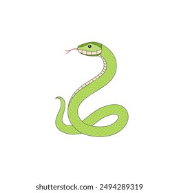 Cute green snake isolated on a white background. Symbol of the New Year 2025. Vector illustration