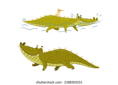 Cute Green Toothy Crocodile or Gator Character Swimming with Bird and Walking Vector Set