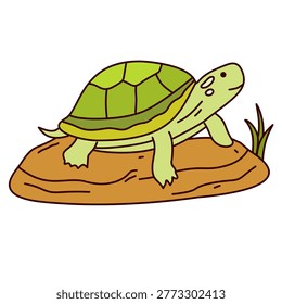 cute green tortoise sunbathing on stone near green grass plants