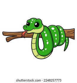 Cute green tree python cartoon on tree branch