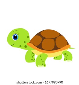 cute green turtle cartoon illustration