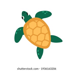 Cute green turtle with shell isolated on white background. Top view of funny tortoise. Colored flat vector illustration of happy exotic animal