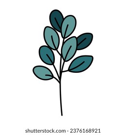 Cute green twig with leaves. Hand drawn detailed vector illustration.