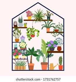 Cute Greenhouse with different plants and flowers inside. Concept for floristic and plant shops, gardening and postcards.